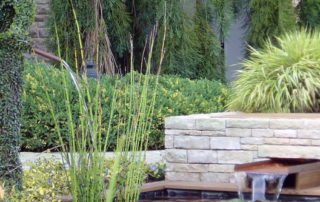 WeCommunik Minard Projets De Bassins Naturels 117