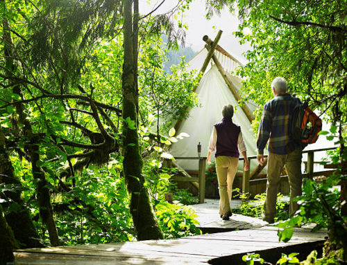 Camping : Tout pour passer un bon séjour