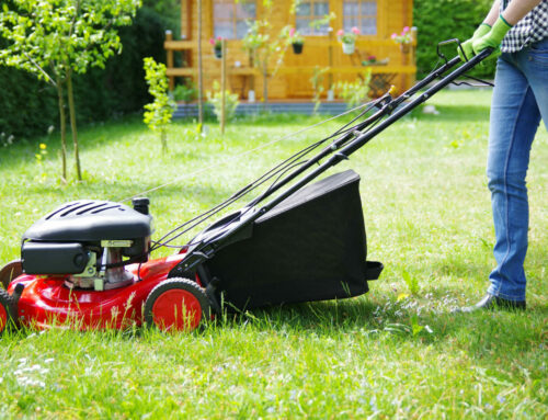 5 conseils à suivre pour un bon entretien du jardin