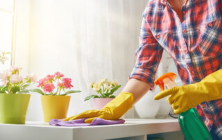 Woman Makes Cleaning