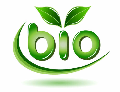 Consommer des produits de marché bio Ille-et-Vilaine : quelles en sont les raisons ?